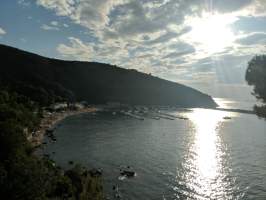 gallery image thumbnail