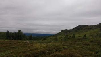 gallery image thumbnail