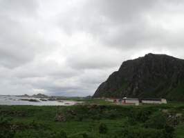 gallery image thumbnail