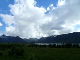 gallery image thumbnail