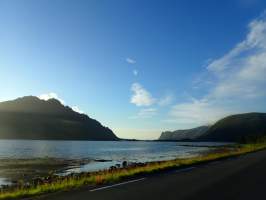 gallery image thumbnail