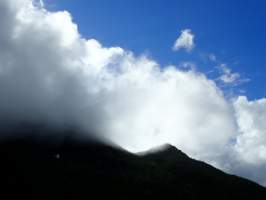 gallery image thumbnail