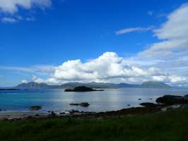 gallery image thumbnail