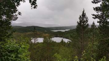 gallery image thumbnail