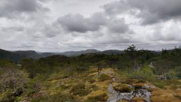 gallery image thumbnail