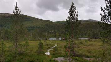 gallery image thumbnail