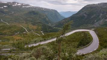 gallery image thumbnail