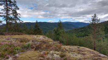 gallery image thumbnail