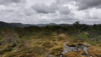 gallery image thumbnail