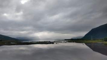 gallery image thumbnail