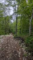 gallery image thumbnail