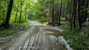 gallery image thumbnail
