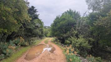 gallery image thumbnail