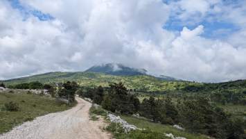 gallery image thumbnail