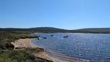 gallery image thumbnail