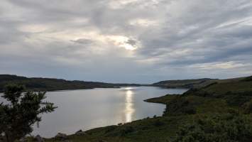 gallery image thumbnail