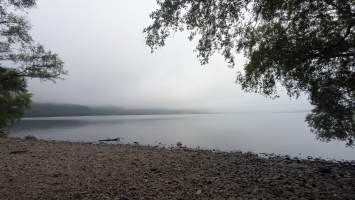 gallery image thumbnail