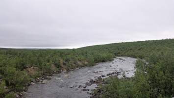 gallery image thumbnail