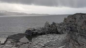 gallery image thumbnail