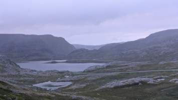 gallery image thumbnail