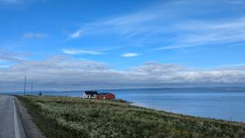 gallery image thumbnail