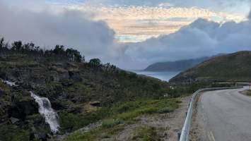 gallery image thumbnail