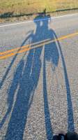 gallery image thumbnail