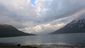 gallery image thumbnail