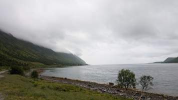 gallery image thumbnail