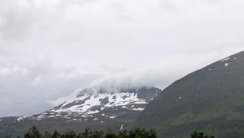 gallery image thumbnail