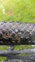 gallery image thumbnail