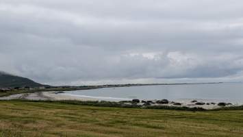 gallery image thumbnail