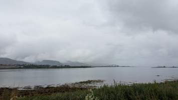 gallery image thumbnail
