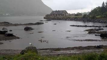 gallery image thumbnail