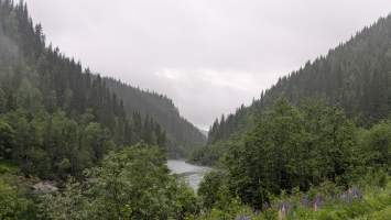 gallery image thumbnail