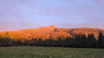 gallery image thumbnail