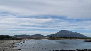 gallery image thumbnail