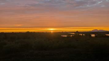gallery image thumbnail