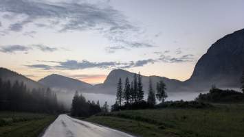 gallery image thumbnail