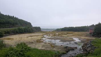 gallery image thumbnail